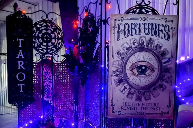 Oracle of St. Augustine, Messages from the Universe. - Who Will Love This Tour?