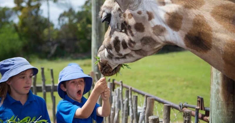 Orana Wildlife Park Admission Ticket - Weather and timing shape what you see