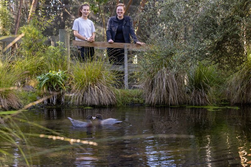 Orana Wildlife Park Admission Ticket - Getting there and redeeming your ticket