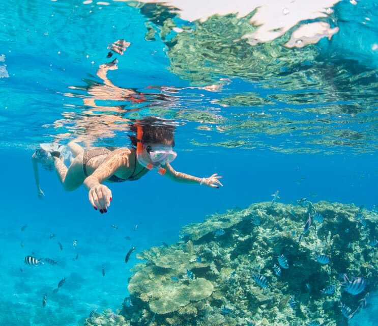 Orange Bay Full-Day Snorkeling & Banana Boat Experience - A full day split between reefs and island time