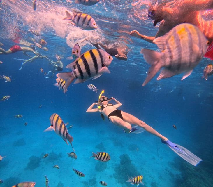 Orange Bay Full-Day Snorkeling & Banana Boat Experience - What the $23.75 price does and does not cover