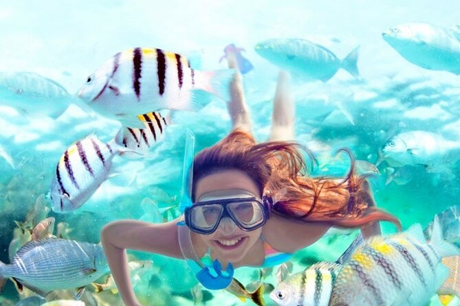 Orange Bay Island and Snorkeling Cruise With Lunch - Snorkeling Experience