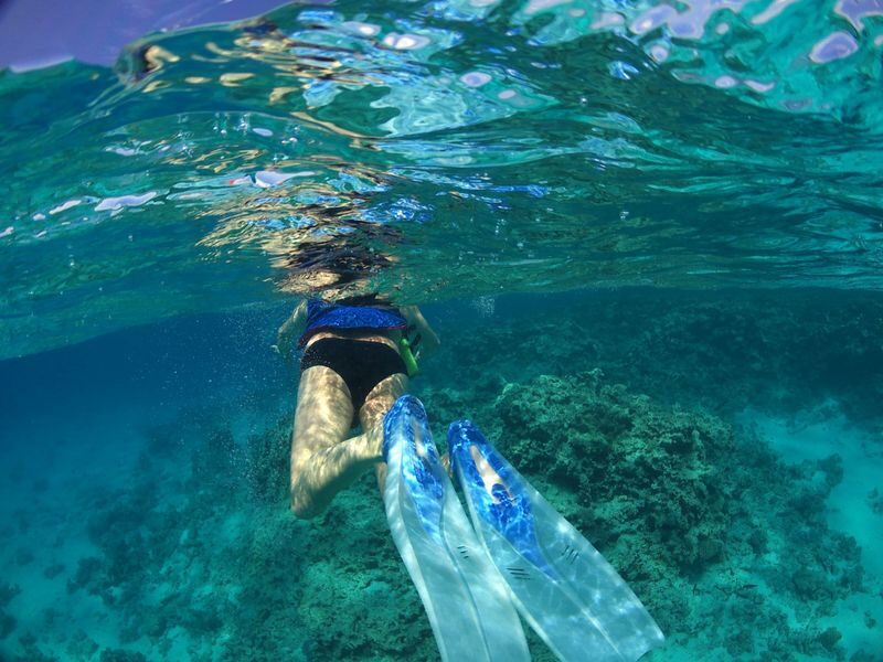 Orange Bay Island Snorkeling trip with Lunch & transfer - Hurghada - A guided look at coral and fish