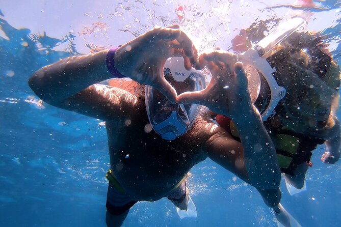 Orange Bay Island Tour - Tour Overview