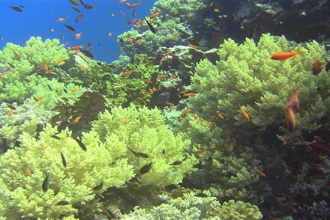 Orange Bay Red Sea Hurghada - Living A Turquoise Dream - Price and Guarantee