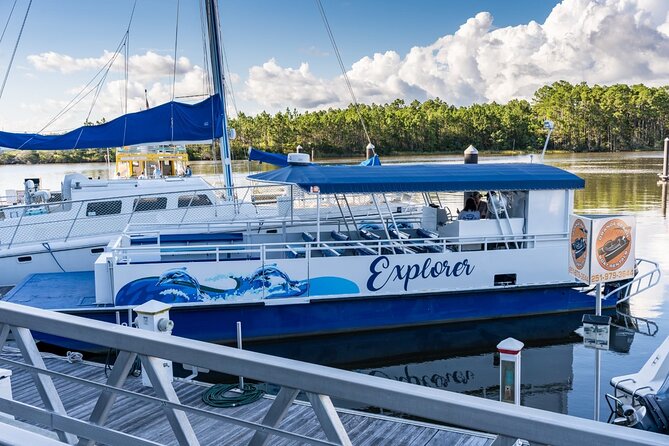 Orange Beach Dolphin Eco Boat Tour - Pricing and Booking Information