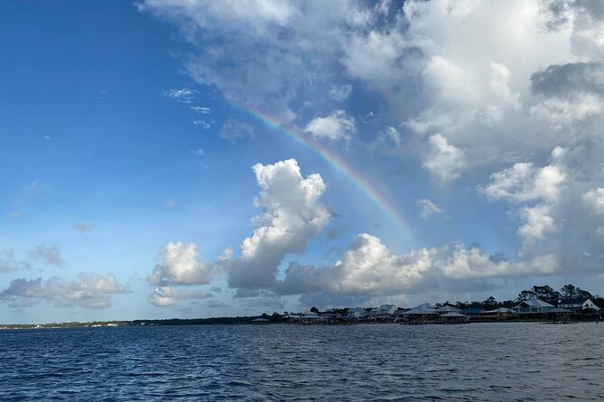 Orange Beach Dolphin Eco Boat Tour - Customer Feedback and Reviews