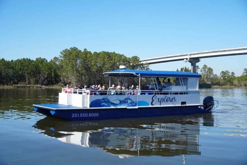Orange Beach: Dolphin Eco Sunset Cruise aboard The Explorer - An Honest Look at the Experience
