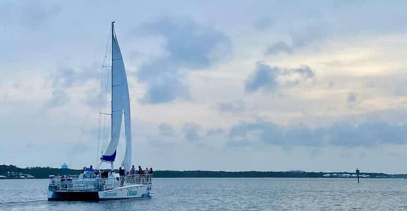 Orange Beach: Dolphin & Sailing Cruise Aboard 52' Catamaran - Who Should Book This Tour?