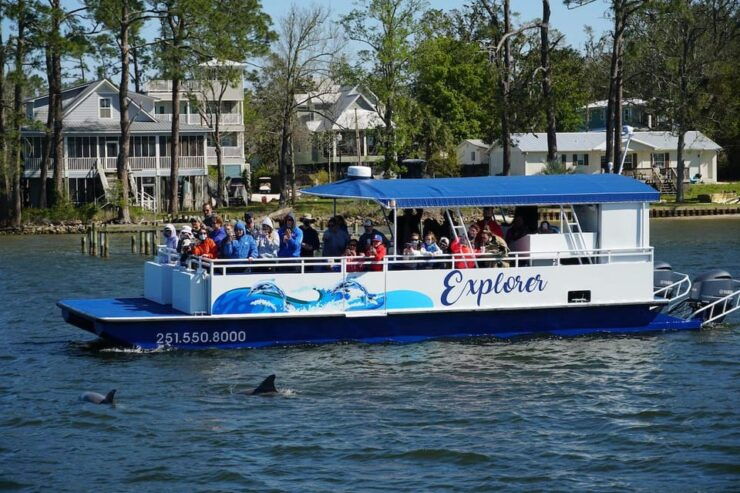 Orange Beach: Dolphin-Watching Sunset Catamaran Cruise - Experience Highlights