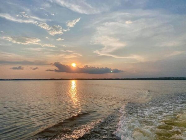 Orange Beach: Dolphin-Watching Sunset Catamaran Cruise - Scenic Sunset Views