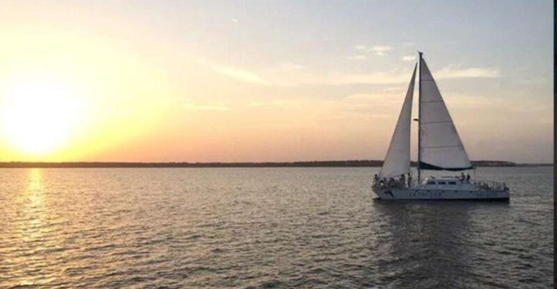 Orange Beach: Sunset Sailing Cruise Aboard The Cetacean - Why This Cruise Is Worth Considering