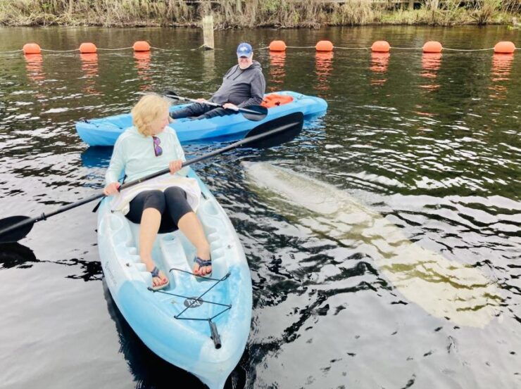 Orange City: Blue Spring State Park SUP & Kayaking Tour - Experience Highlights