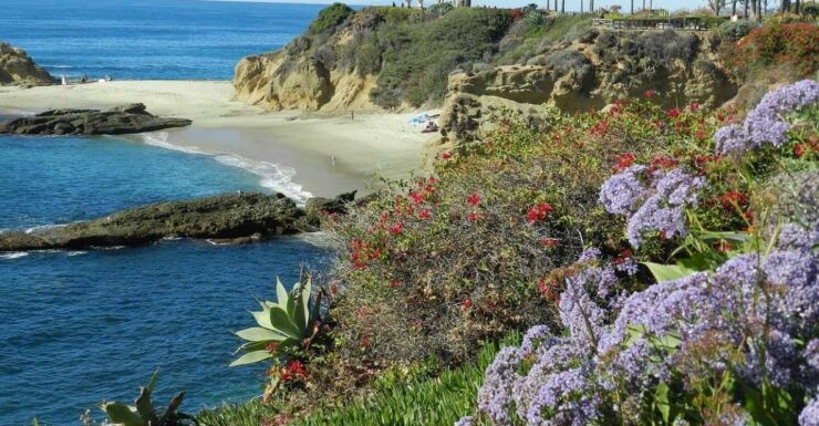 Orange County: Coastal Beach and Highlights Tour by Van - Tour Overview