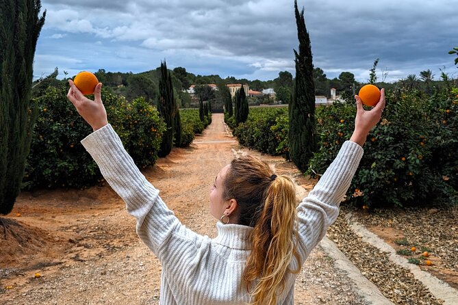 Orange Harvest Experience Exploring a Genuine Citrus Farm - Good To Know