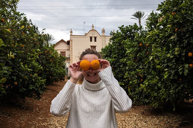 Orange Harvest Experience Exploring a Genuine Citrus Farm - Orange Harvest Experience Highlights