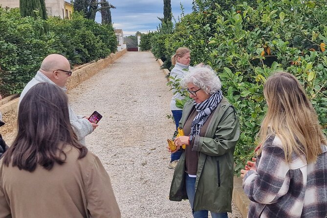 Orange Harvest Experience Exploring a Genuine Citrus Farm - Tips for a Memorable Citrus Farm Visit