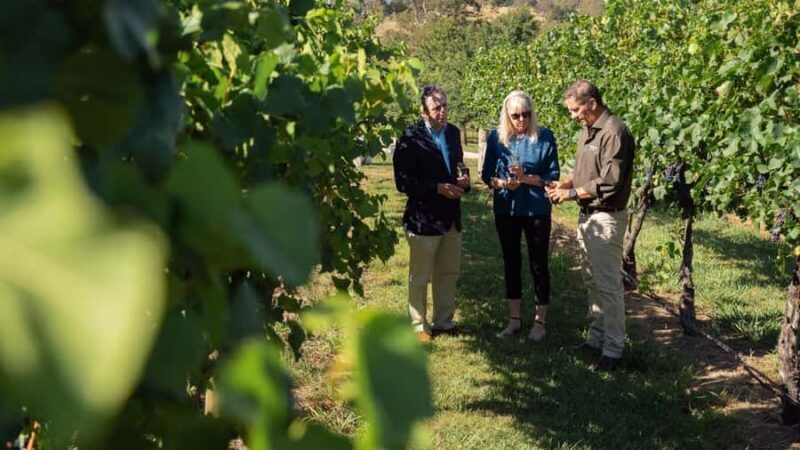 Orange: Indulge with Swinging Bridge - 5-Course Lunch & Tour - A Deep Dive into the Experience