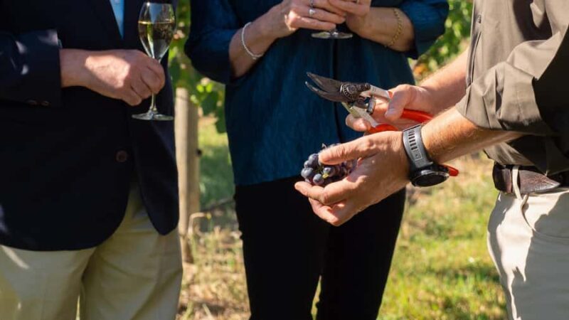 Orange: Indulge with Swinging Bridge - 5-Course Lunch & Tour - FAQ