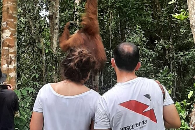 Orangutan 2 Nights Honeymoon CoupleTour - Group Size and Accommodations