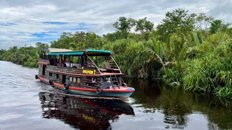 OrangUtan Borneo Pangkalan Bun 3Days Jungle Cruise Adventure - Good To Know