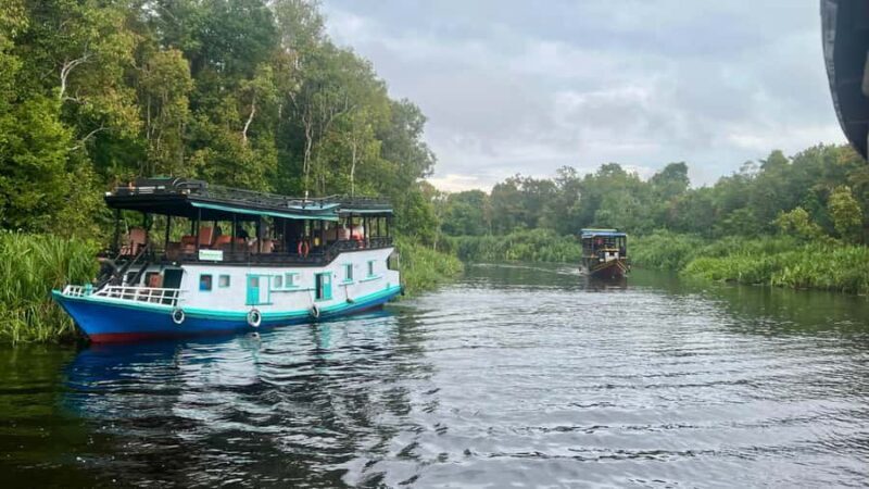 OrangUtan Borneo Pangkalan Bun 3Days Jungle Cruise Adventure - FAQ