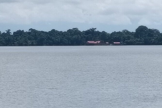 Orangutan Island, A Responsible Wildlife Sanctuary Experience - FAQ