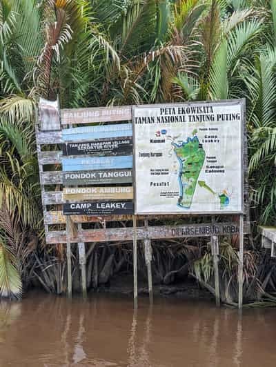 Orangutan Kalimantan 4 Days Trip (Start From Bali). - Key Points