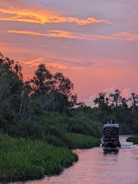 Orangutan Kalimantan 4 Days Trip (Start From Bali). - Detailed Itinerary