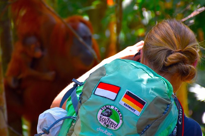 ORANGUTAN TREK (2D/1N) by EcoTravel Bukit Lawang - Trek Overview