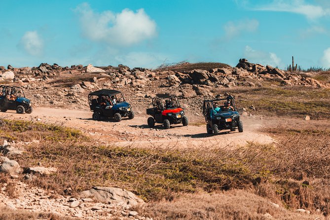 Oranjestad Full-Day 2-Seater UTV Rental  - Aruba - Activity Details
