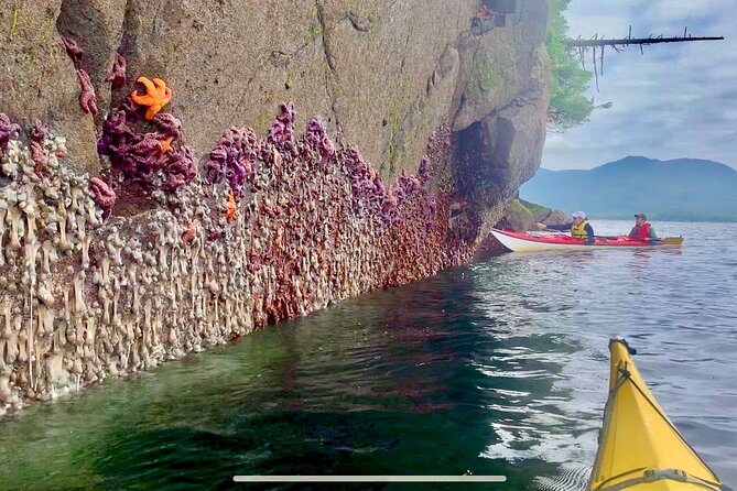 Orca Cove Sea Kayaking - Meeting and Pickup Information