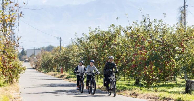 Orchard Cycling Tour With Picnic Lunch in the Alps of Nagano - Tour Overview and Pricing