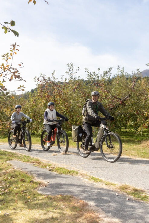 Orchard Cycling Tour With Picnic Lunch in the Alps of Nagano - Experience Description
