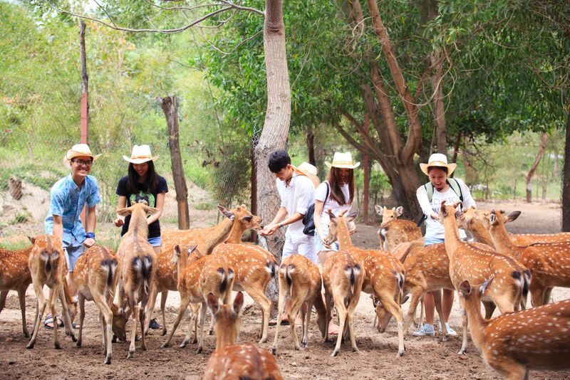 Orchid Island Ticket in Nha Trang - The early boat sets the pace