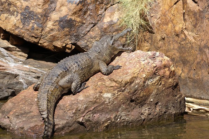 Ord River Cruise Experience With Riverside Lunch - Location and Scenic Highlights