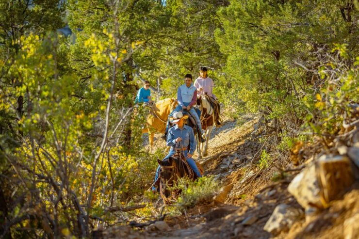 Orderville: Checkerboard Mesa Guided Sunset Horseback Ride - Activity Details