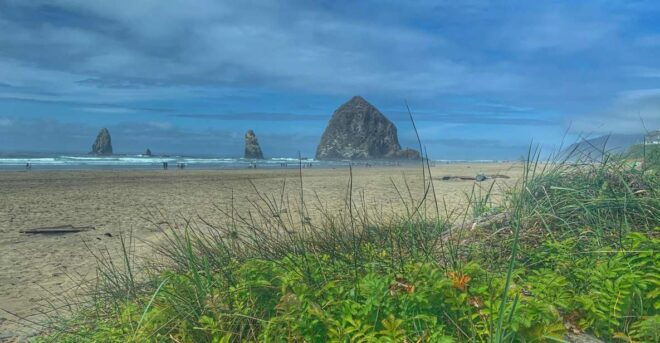 Oregon Coast Day Tour: Cannon Beach and Haystack Rock - Itinerary
