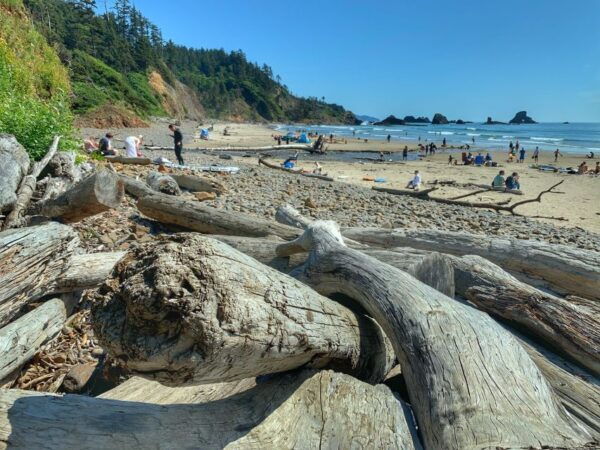 Oregon Coast Day Tour: Cannon Beach and Haystack Rock - The Sum Up