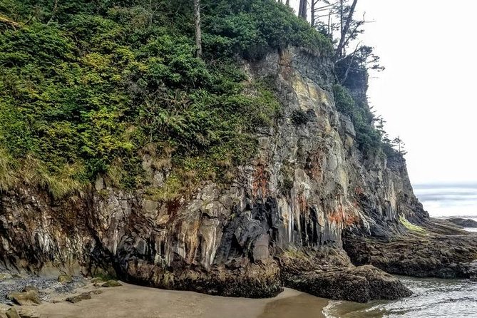 Oregon Coast Tour and Wine Tasting From Portland- Full Day Tour - Local Seafood Delights