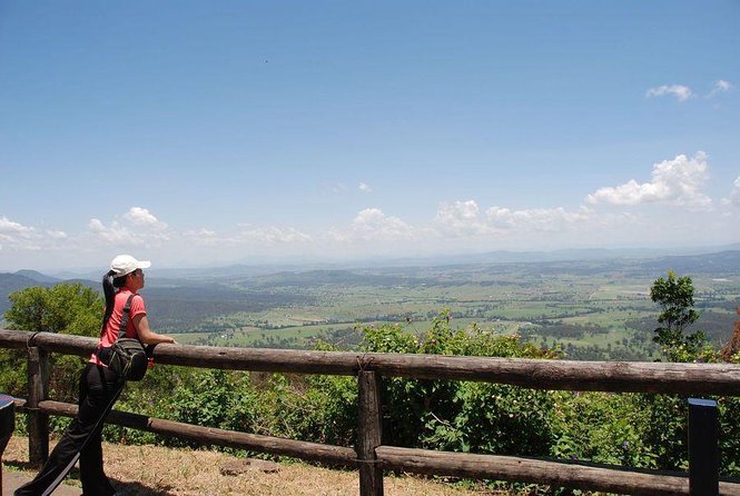 Oreillys & Lamington National Park From Gold Coast - Pricing and Booking Details