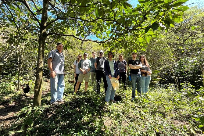Organic Coffee Farm Tour - Good To Know