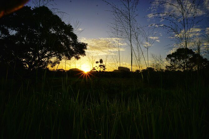 Organic Cooking Class Sigiriya TASTY TASKS - Good To Know