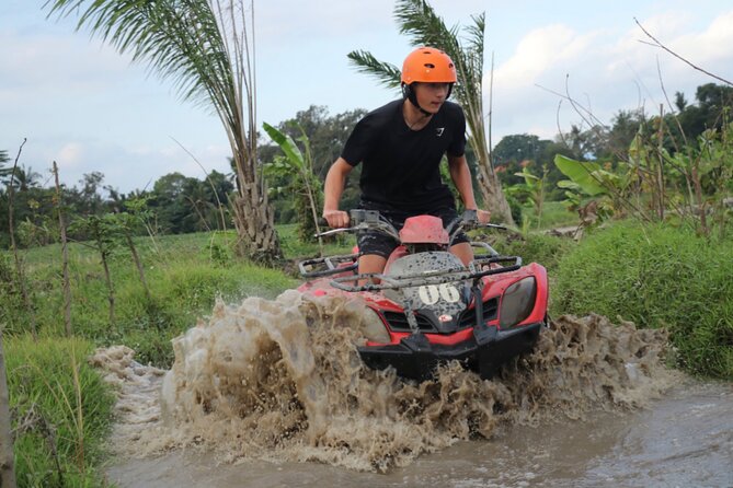 Organic Farm Cooking Class in Ubud With Bali Swing - Swing Over Rice Terraces