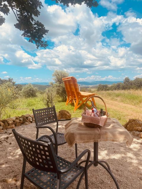 Organic Farm Lunch Picnic in Maremma Tuscany - Activity Highlights