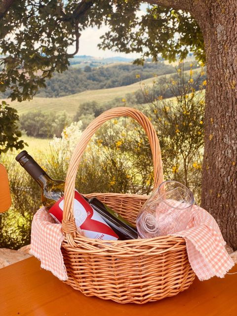Organic Farm Lunch Picnic in Maremma Tuscany - Pricing Details