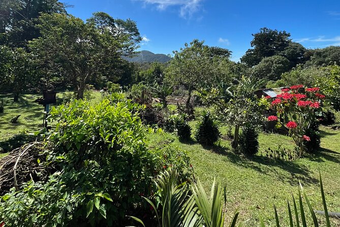 Organic Farming Volunteering Program Finca El Secreto - Meeting Point Information