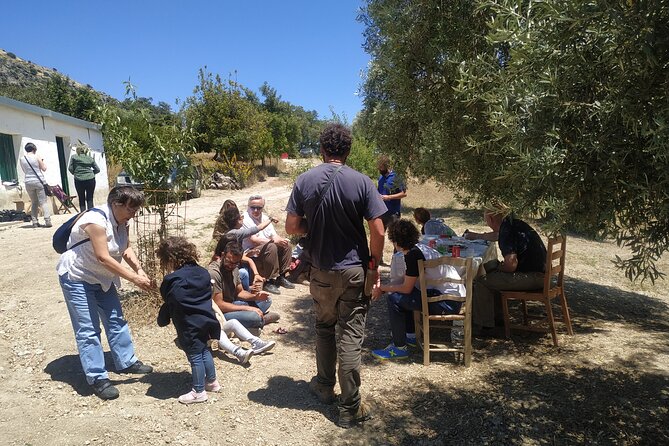 Organic Iberian Ham, Farm Visit and Premium Tasting! - Cancellation Policy: Know Your Options for Changes or Refunds