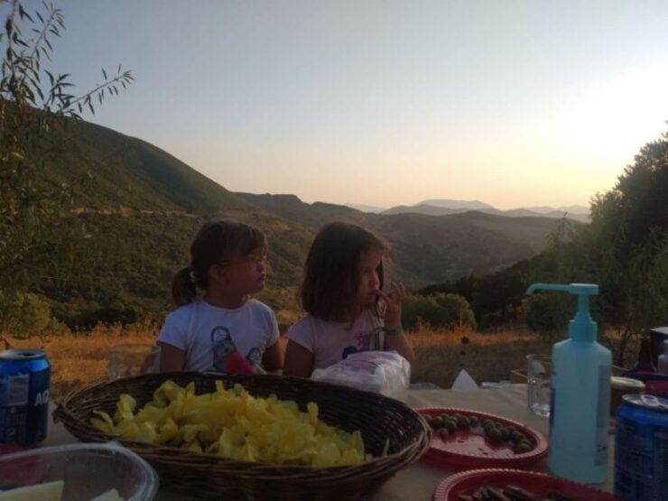 Organic Iberian Pig Farm Experience, Food&Ecofriendly - Experience Highlights