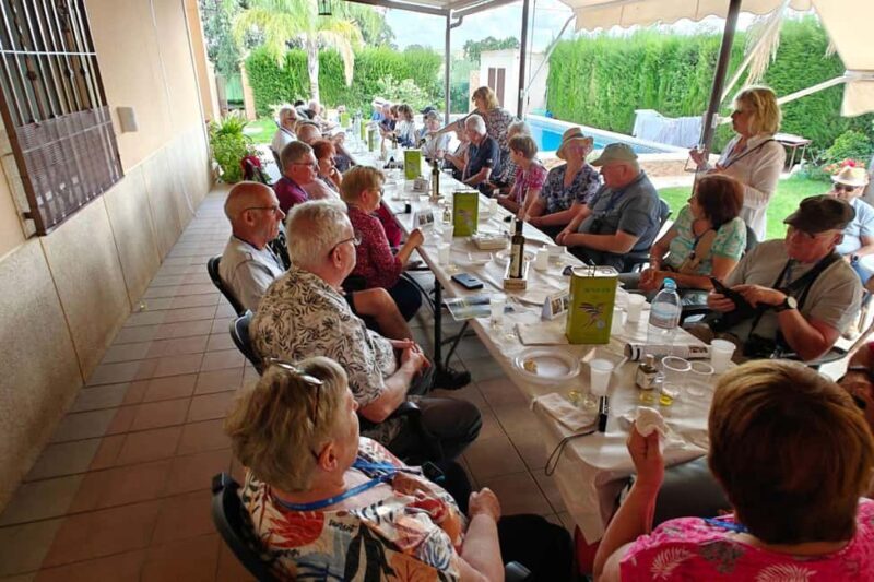 Organic olive oil tasting and visit to a family olive grove with fruit and a gift - A genuine look at an olive oil tour in Andalusia